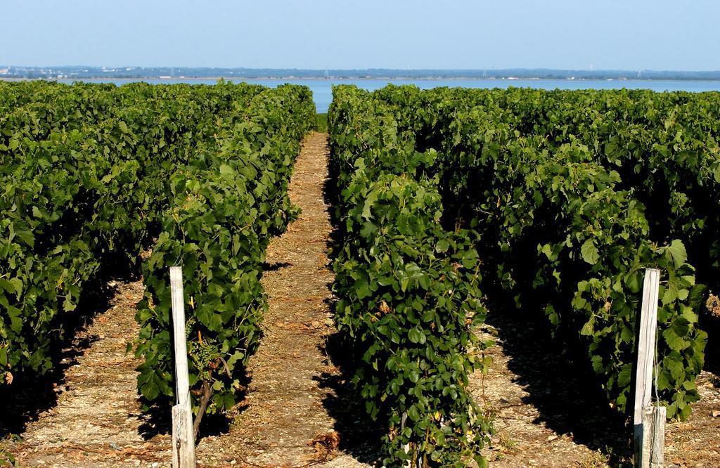 Vvf Soulac-Sur-Mer Bordeaux Medoc Ngoại thất bức ảnh